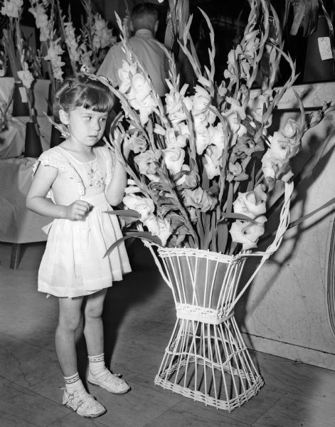 1950 - Gladiolus Society